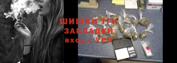 мдпв Бородино