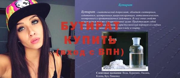 мдпв Бородино