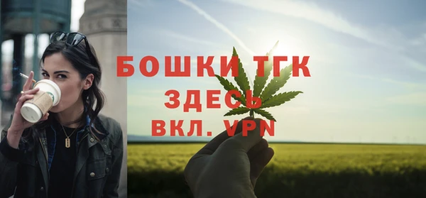 твердый Бронницы