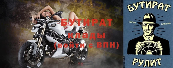 мдпв Бородино