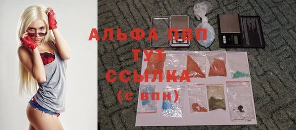 мдпв Бородино