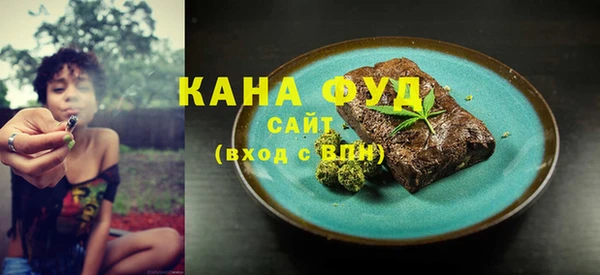 мдпв Бородино